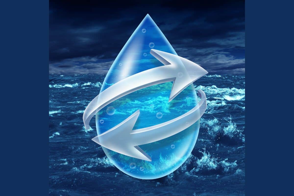 Leia mais sobre o artigo Entidades Infranacionais