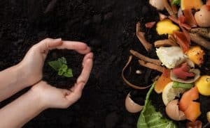 Leia mais sobre o artigo Prazo para disposição final ambientalmente adequada de rejeitos encerra em agosto; saiba mais informações sobre o tema