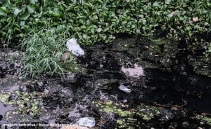 Leia mais sobre o artigo SANEAMENTO: Nenhum município de São Paulo está com contratos irregulares de prestação de serviços básicos