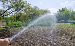 Leia mais sobre o artigo Avaliação legal e prática da aplicação de águas residuárias tratadas no solo no contexto do reúso de água no Brasil – Revista DAE nº 241 – 2023.