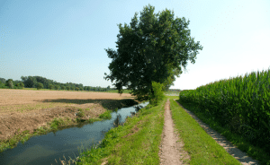 Leia mais sobre o artigo O PMSB e Os Desafios da Universalização do Saneamento em Áreas Rurais