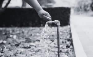 Leia mais sobre o artigo Diretora da ABES-SP integra coordenação da ABNT NBR 17080:2023 sobre Plano de Segurança da Água