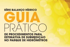 Série Balanço Hídrico: Guia Prático de Procedimentos para Estimativa de Submedição no Parque de Hidrômetros