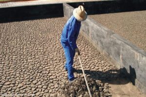 Viabilidade econômica da compostagem do lodo de esgoto para uso agrícola